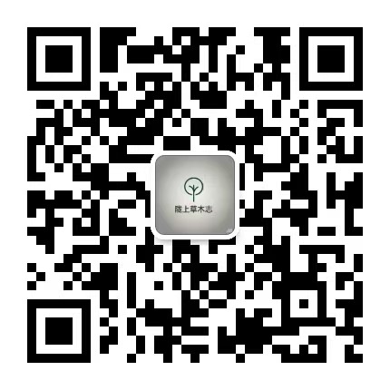 公众号 陇上草木志